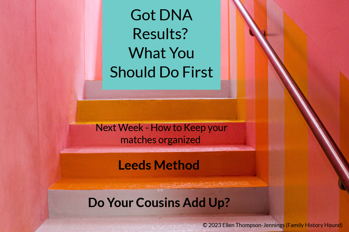 got-dna-results-what-you-should-do-first-hound-on-the-hunt